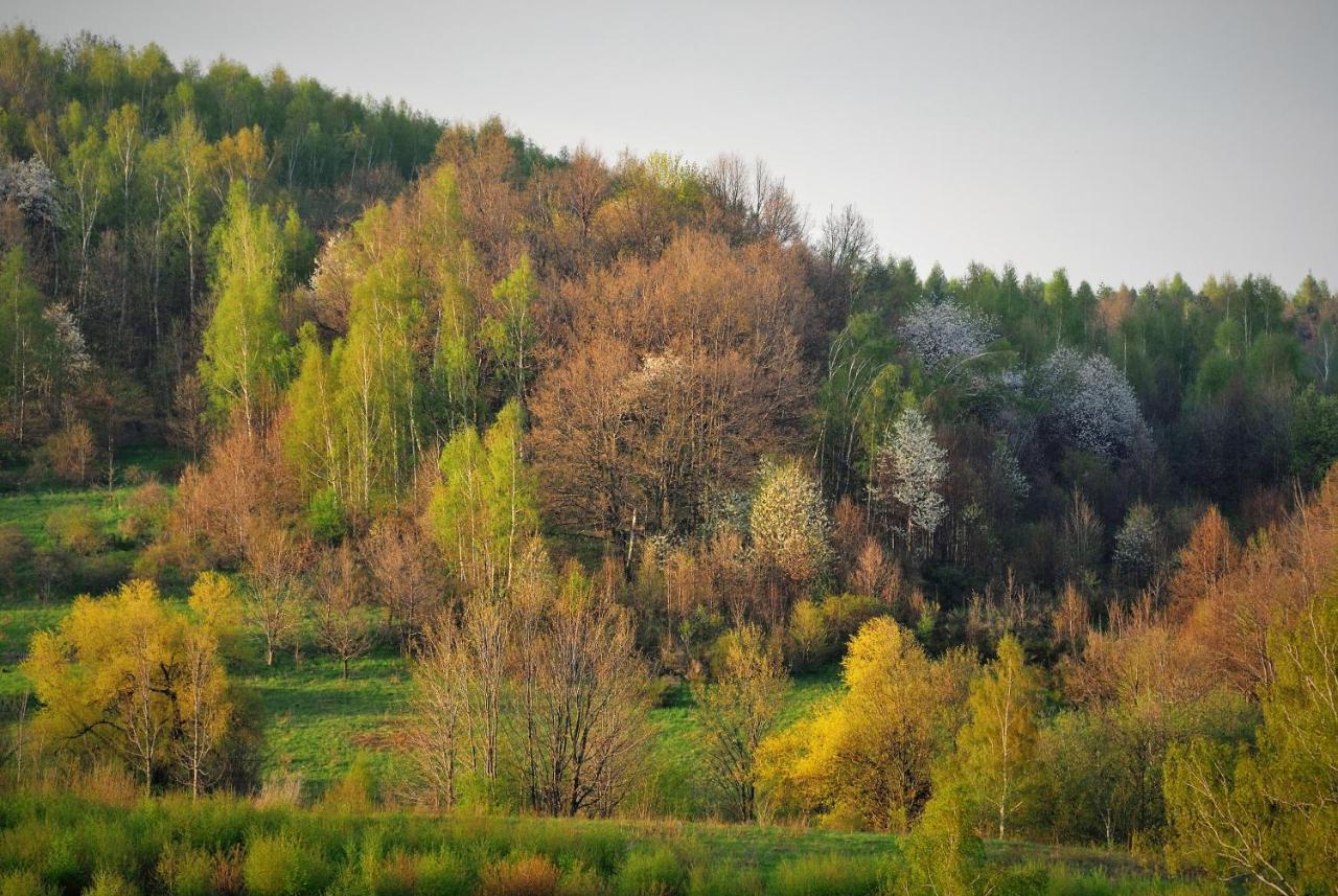 Przytulne Studio Borowkowy Zagajnik Piechowice  Esterno foto