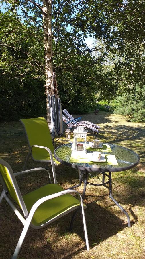 Przytulne Studio Borowkowy Zagajnik Piechowice  Esterno foto