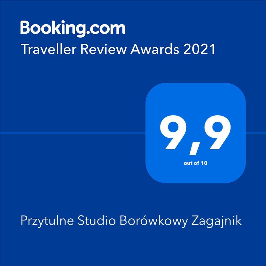 Przytulne Studio Borowkowy Zagajnik Piechowice  Esterno foto