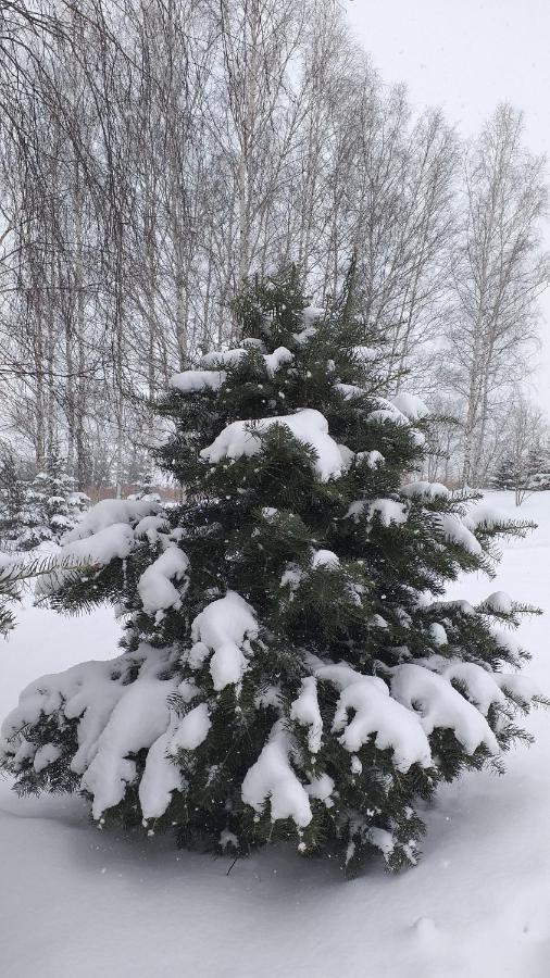Przytulne Studio Borowkowy Zagajnik Piechowice  Esterno foto