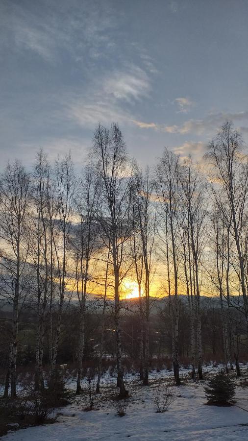 Przytulne Studio Borowkowy Zagajnik Piechowice  Esterno foto