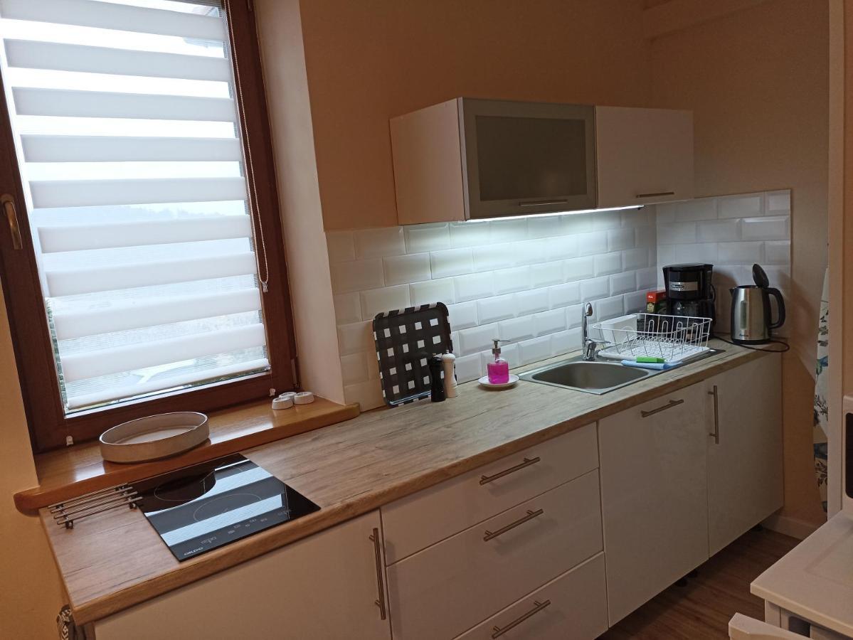 Przytulne Studio Borowkowy Zagajnik Piechowice  Esterno foto