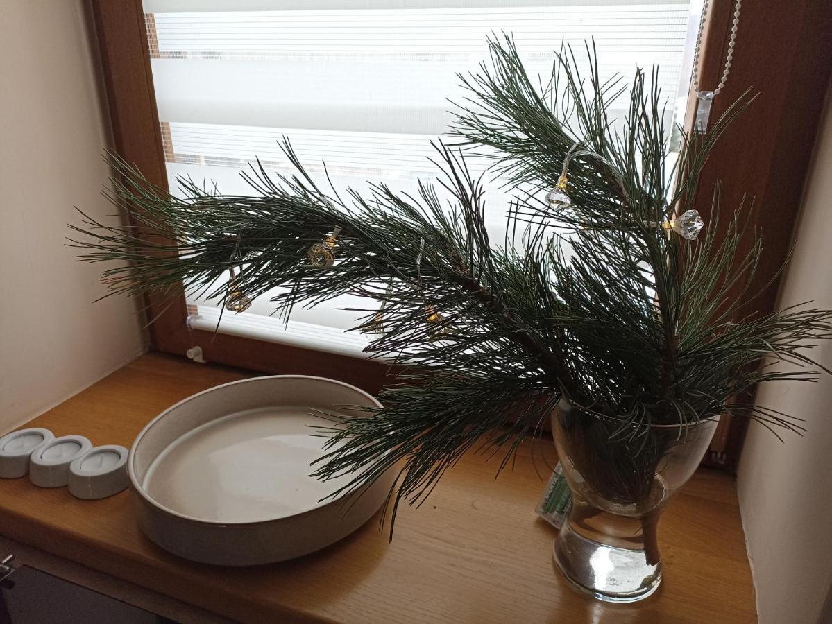 Przytulne Studio Borowkowy Zagajnik Piechowice  Esterno foto