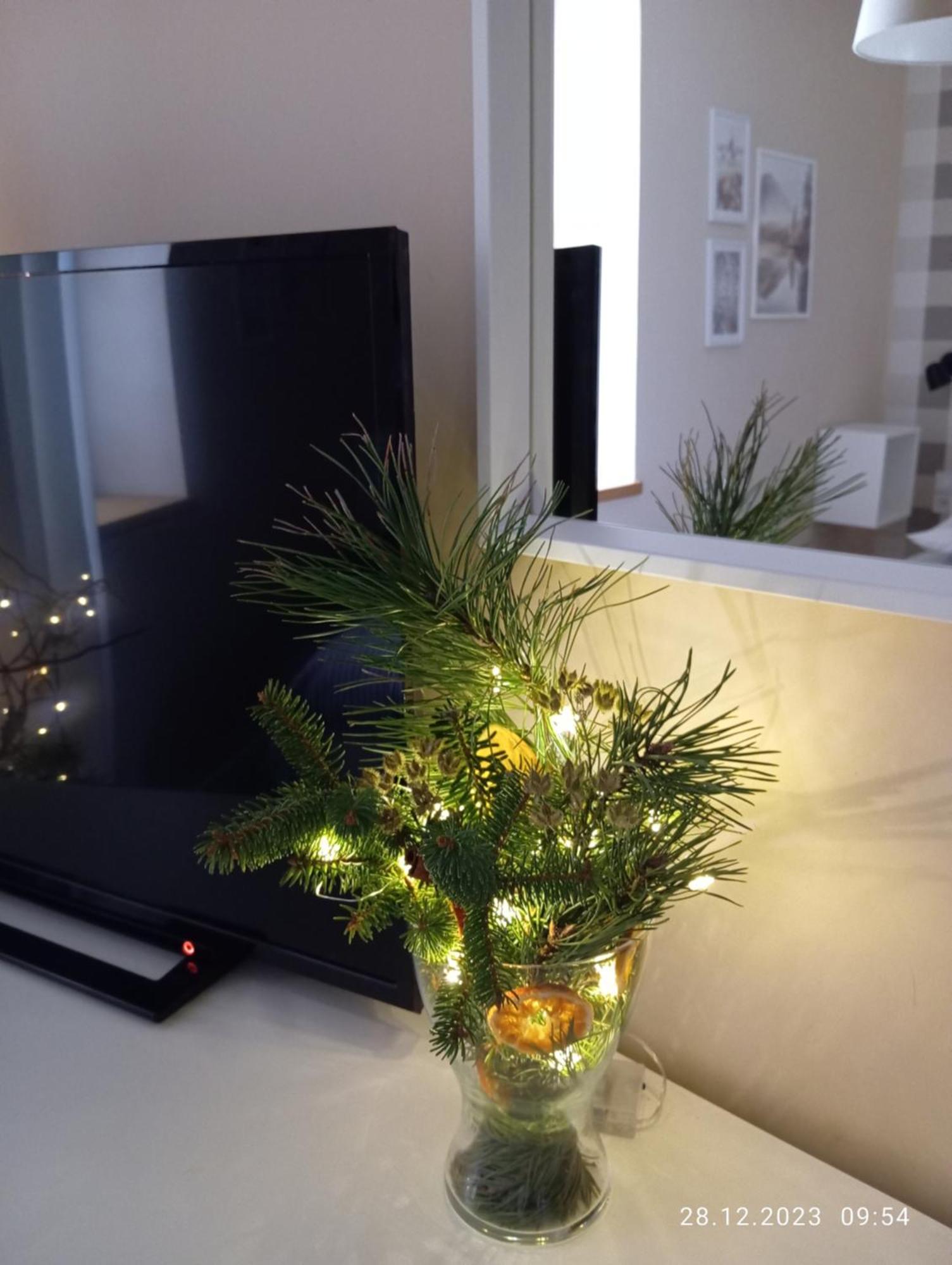 Przytulne Studio Borowkowy Zagajnik Piechowice  Esterno foto